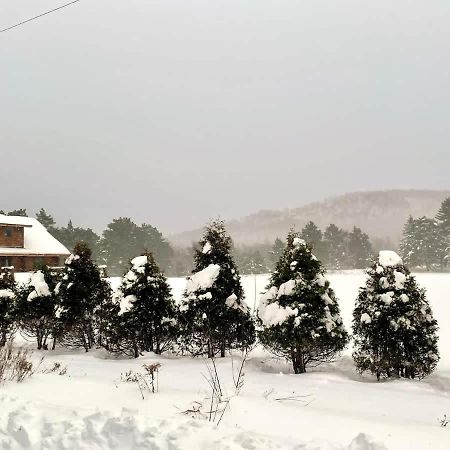 Stunning Log Cabin Getaway At The Hannu Haus Ironwood Bagian luar foto