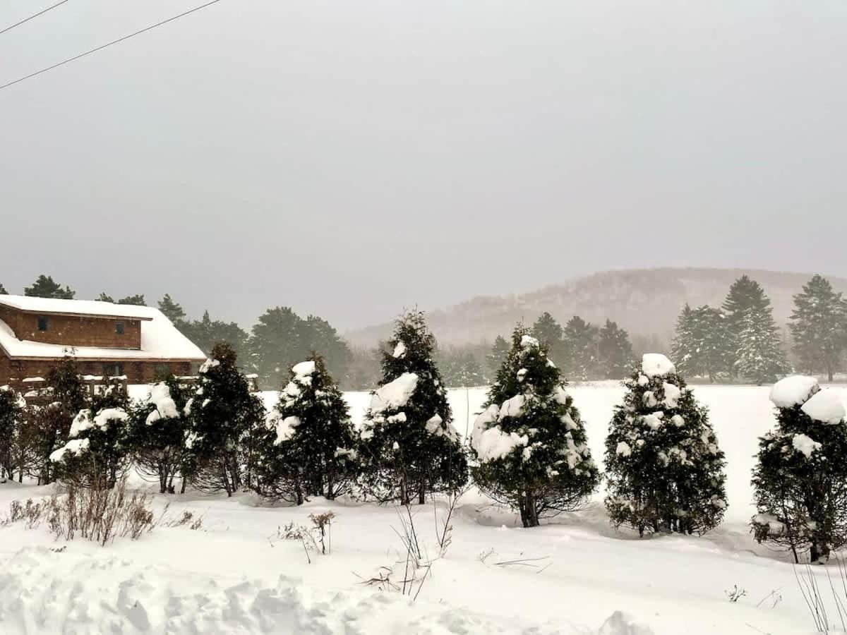 Stunning Log Cabin Getaway At The Hannu Haus Ironwood Bagian luar foto